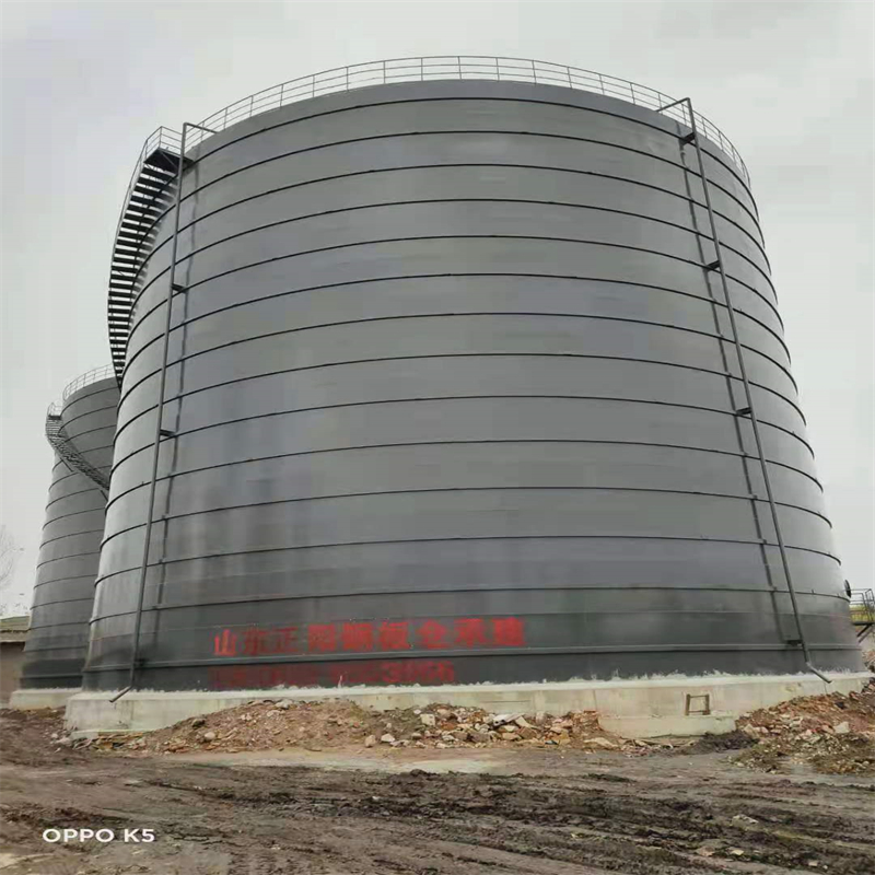 大埔3万吨大型钢板库