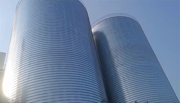 大埔2座混凝土高架卷板仓